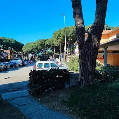 Alex House Cecina Mare Apartment *