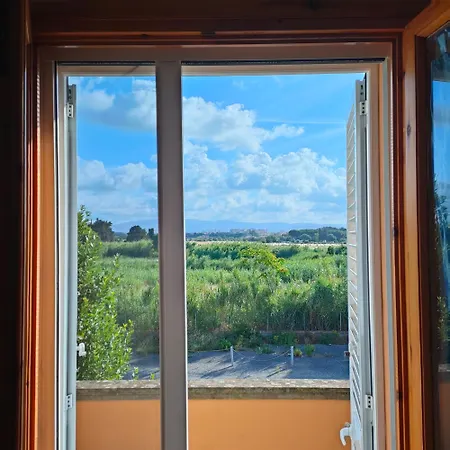 Apartment Alex House Cecina Mare