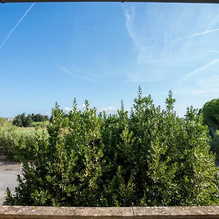 Alex House Cecina Mare Apartment